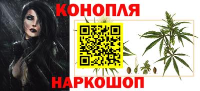 гашик Славгород