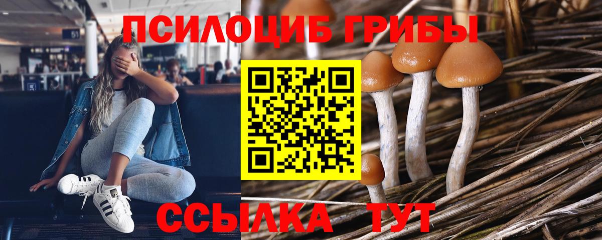 Галлюциногенные грибы Magic Shrooms Нововоронеж