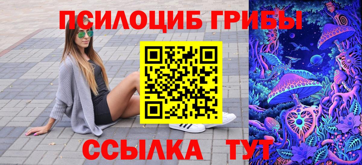 Галлюциногенные грибы Psilocybe  Вход с VPN  Псилоцибиновые грибы GOLDEN TEACHER  Нововоронеж 