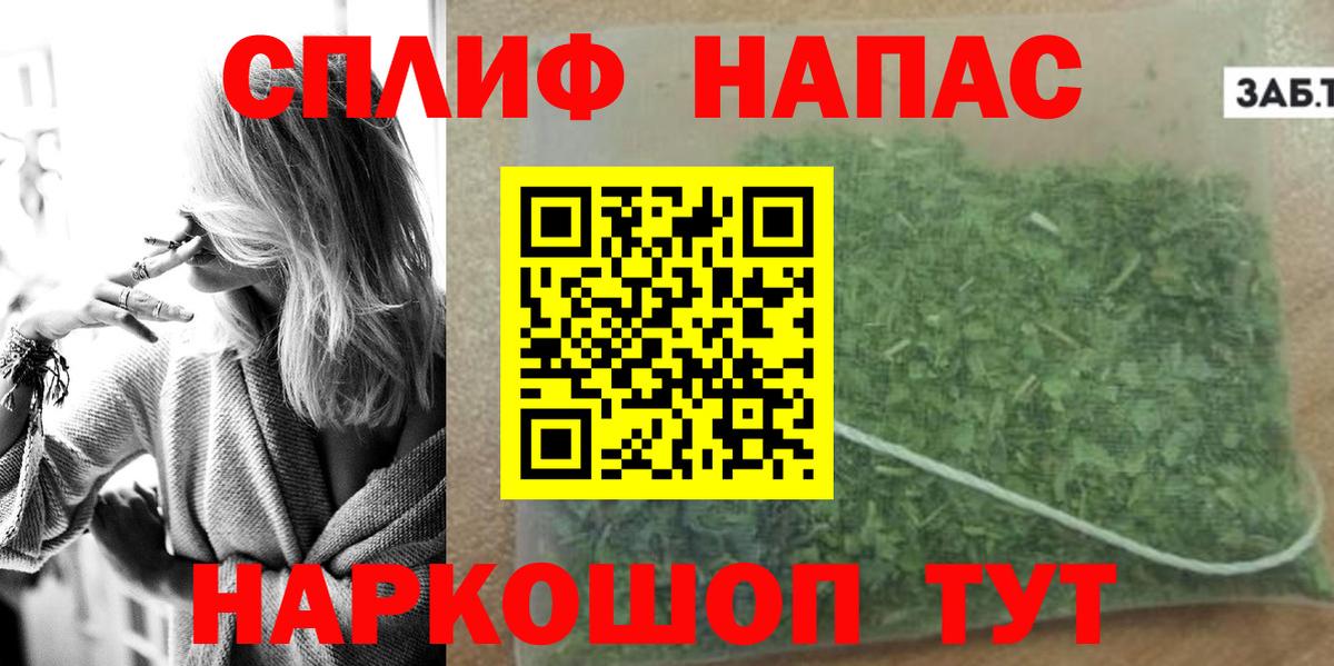 Конопля сатива Нововоронеж