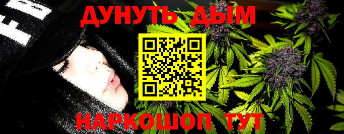 Бошки марихуана семена  Вход с VPN  Нововоронеж  Бошки Шишки VHQ  Бошки марихуана индика  Бошки Шишки VHQ 